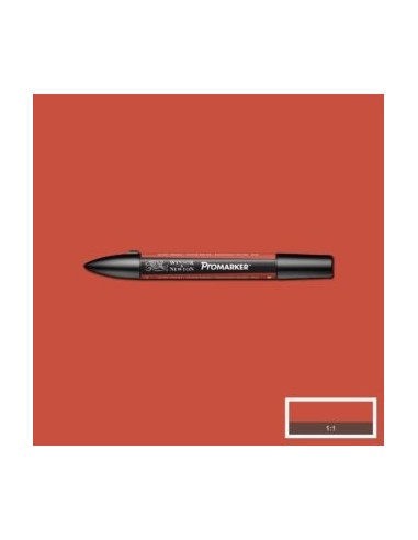 Promarker nueva carta