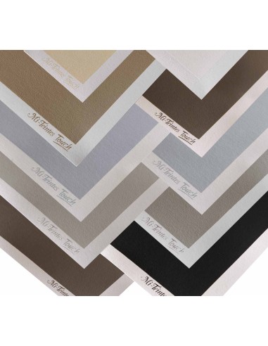 Canson Mi-Teintes Touch Hojas sueltas