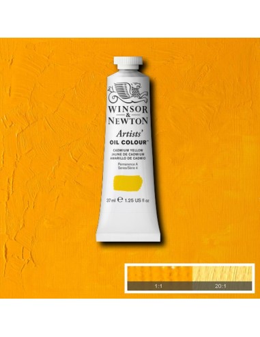 Artists´ OIL Colour Winsor & Newton