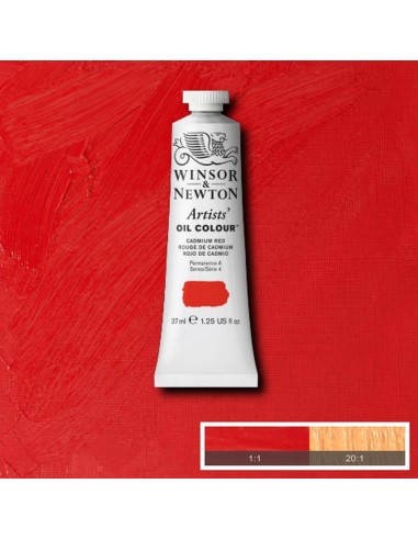 Artists´ OIL Colour Winsor & Newton