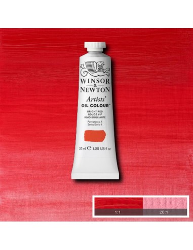 Artists´ OIL Colour Winsor & Newton