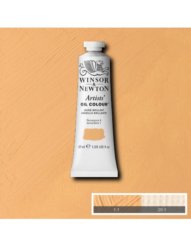 Artists´ OIL Colour Winsor & Newton