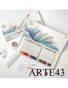 Studio collection. Watercolour pencils. 50 pc 2