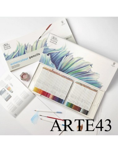 Studio collection. Watercolour pencils. 50 pc